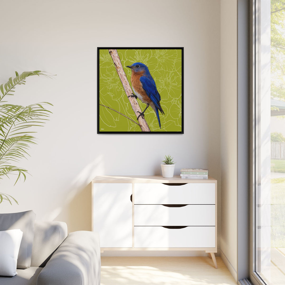Eastern Bluebird: Missouri State Bird — Framed Canvas Print