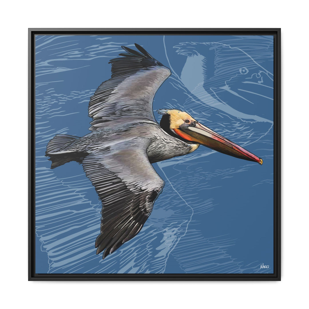 Brown Pelican: Louisiana State Bird  —  Framed Canvas Print