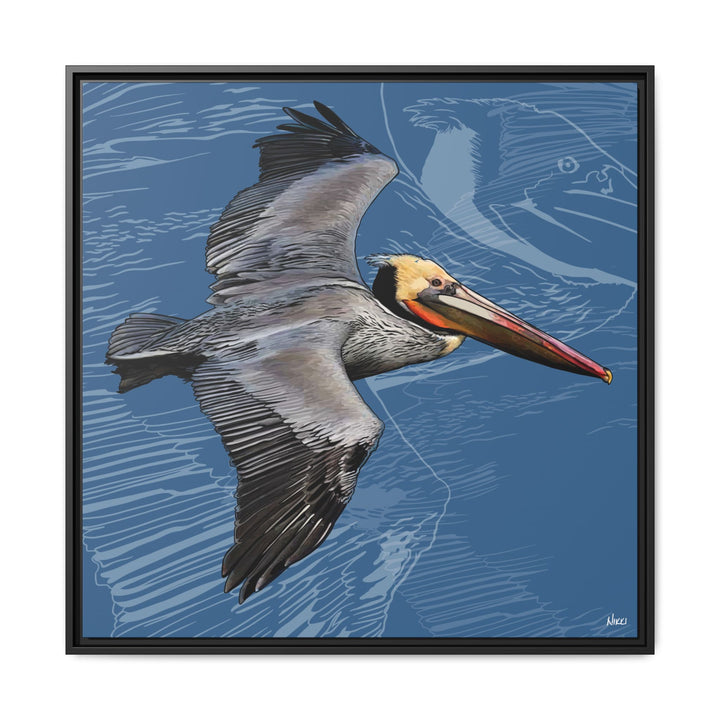 Brown Pelican: Louisiana State Bird  —  Framed Canvas Print