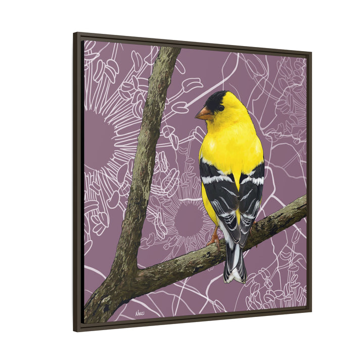Goldfinch: Washington State Bird — Framed Canvas Print Wall Art