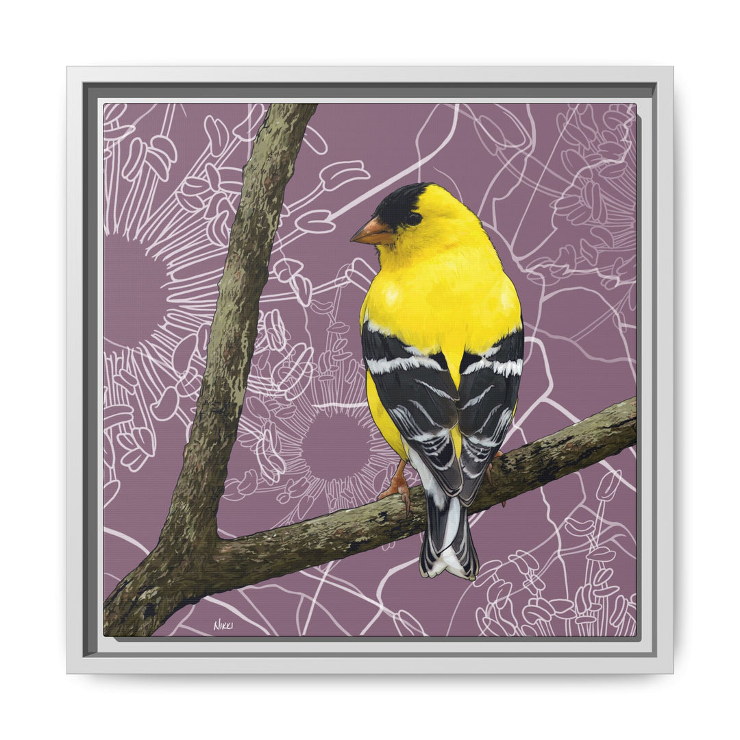 Goldfinch: Washington State Bird — Framed Canvas Print Wall Art