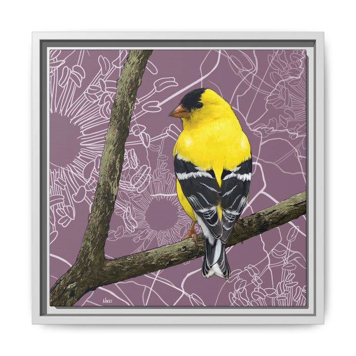 Goldfinch: Washington State Bird — Framed Canvas Print Wall Art