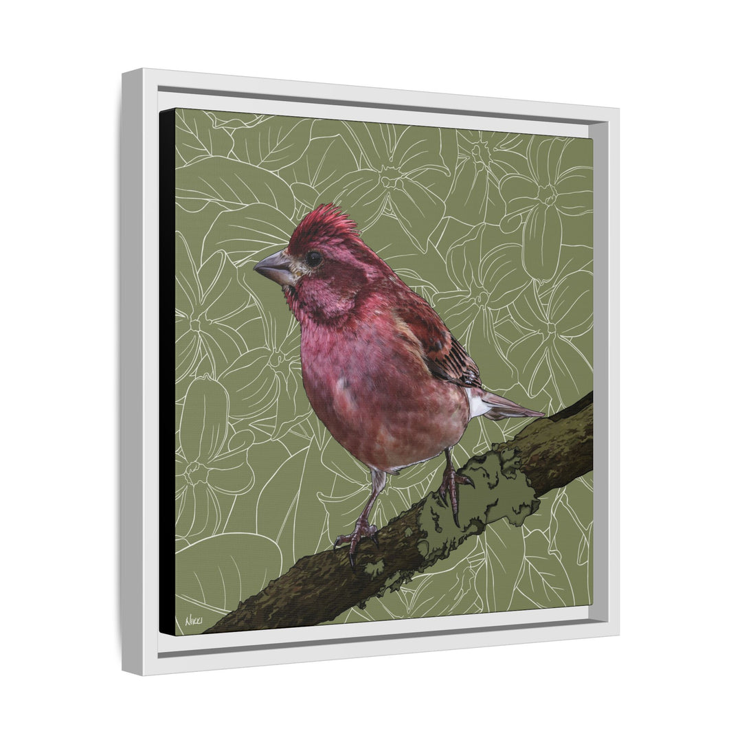 Purple Finch: New Hampshire State Bird — Framed Canvas Print Wall Art