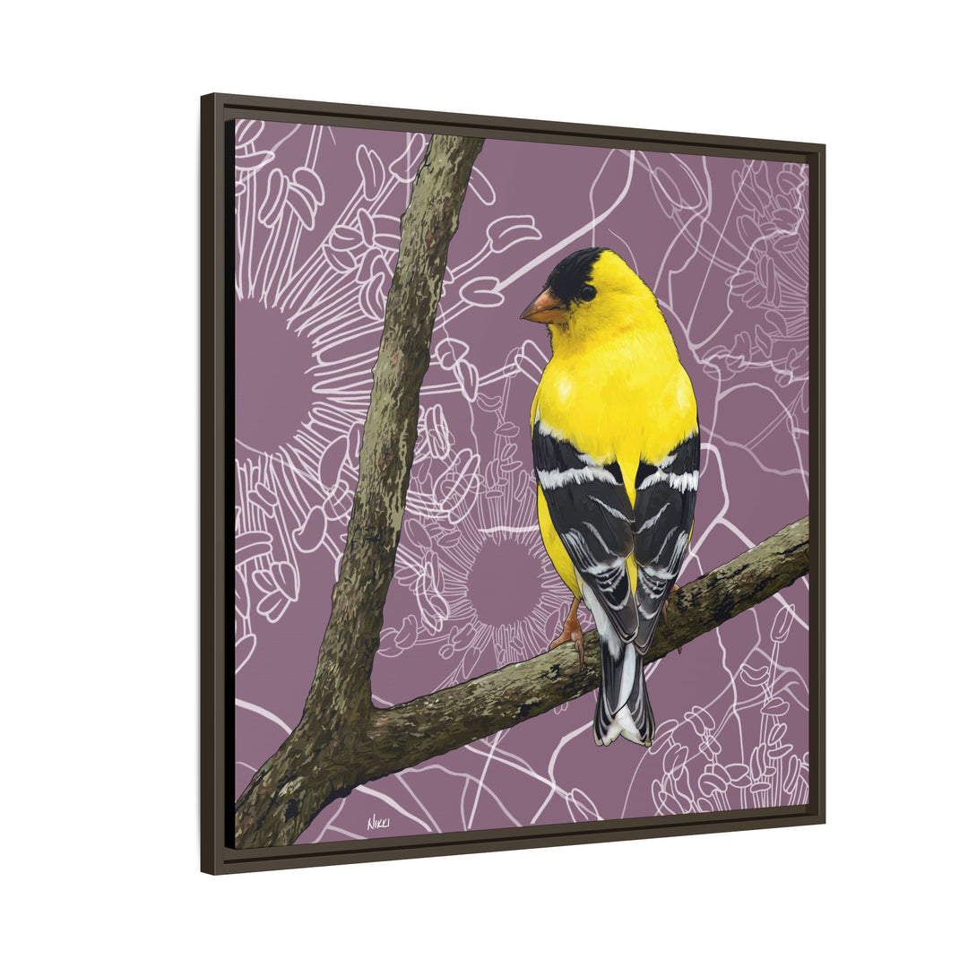 Goldfinch: Washington State Bird — Framed Canvas Print Wall Art