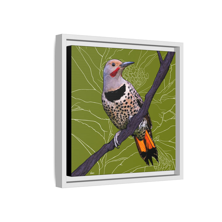 Northern Flicker (Yellowhammer): Alabama State Bird: — Framed Canvas Print Wall Art