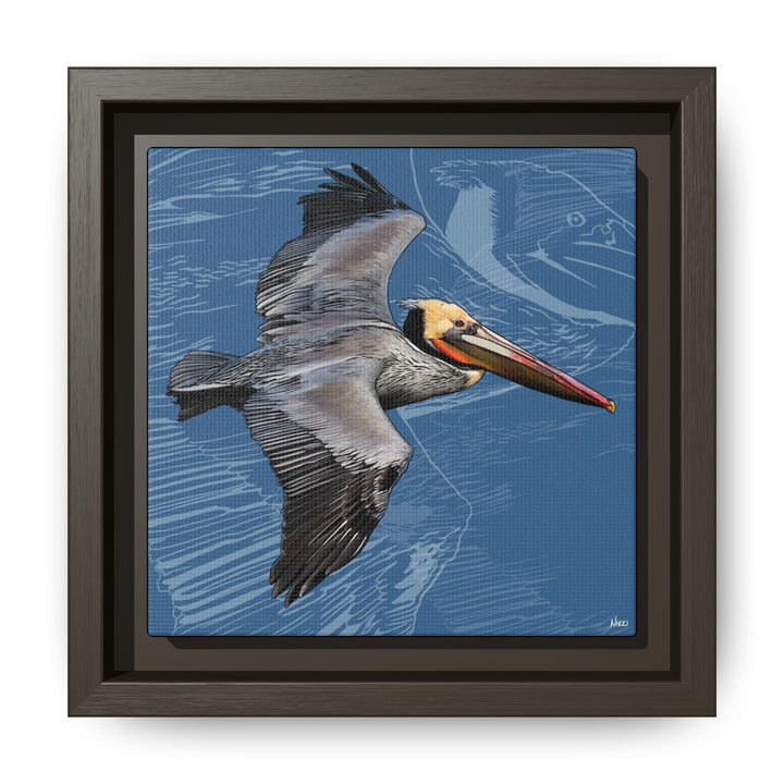 Brown Pelican: Louisiana State Bird  —  Framed Canvas Print
