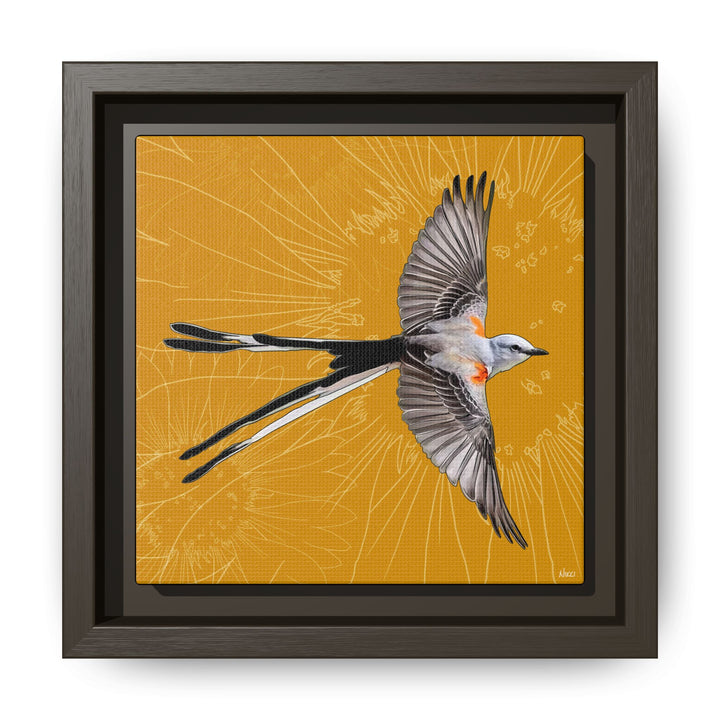 Scissor Tailed Flycatcher: Oklahoma State Bird — Framed Canvas Print Wall Art