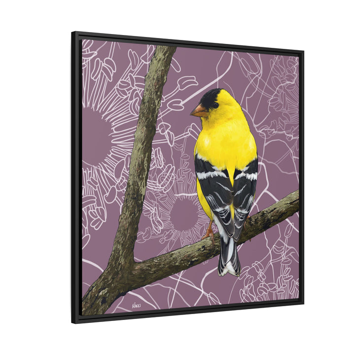 Goldfinch: Washington State Bird — Framed Canvas Print Wall Art
