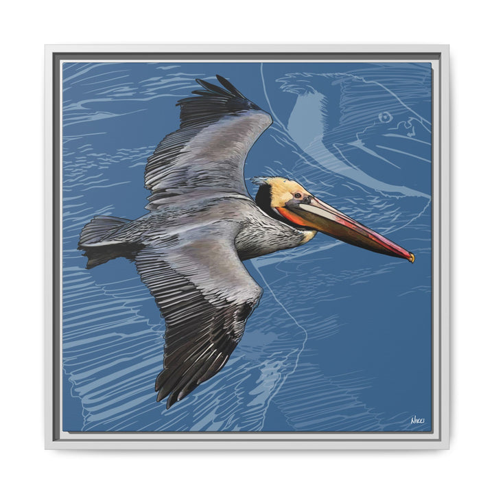 Brown Pelican: Louisiana State Bird  —  Framed Canvas Print
