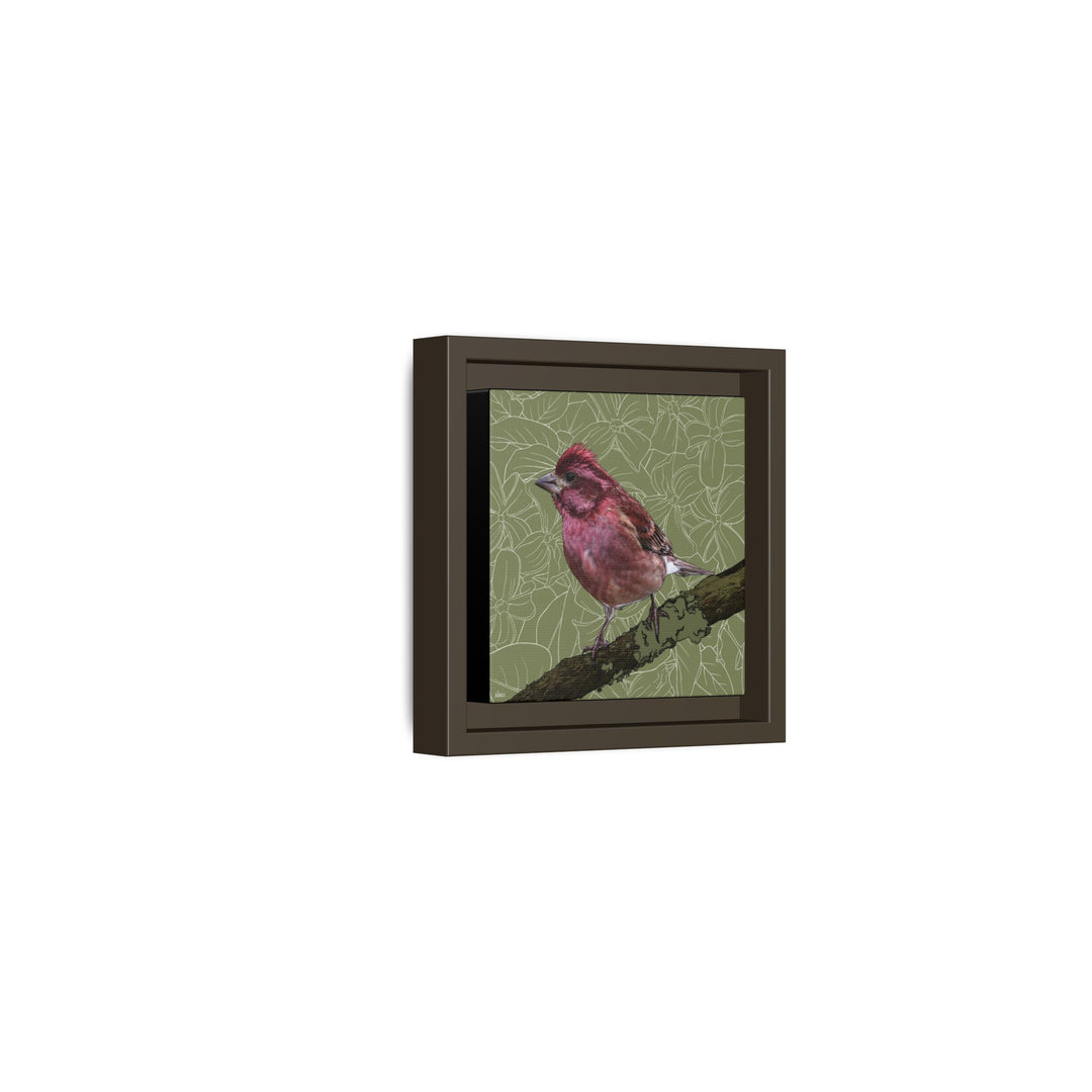 Purple Finch: New Hampshire State Bird — Framed Canvas Print Wall Art