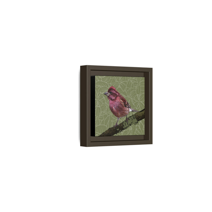 Purple Finch: New Hampshire State Bird — Framed Canvas Print Wall Art