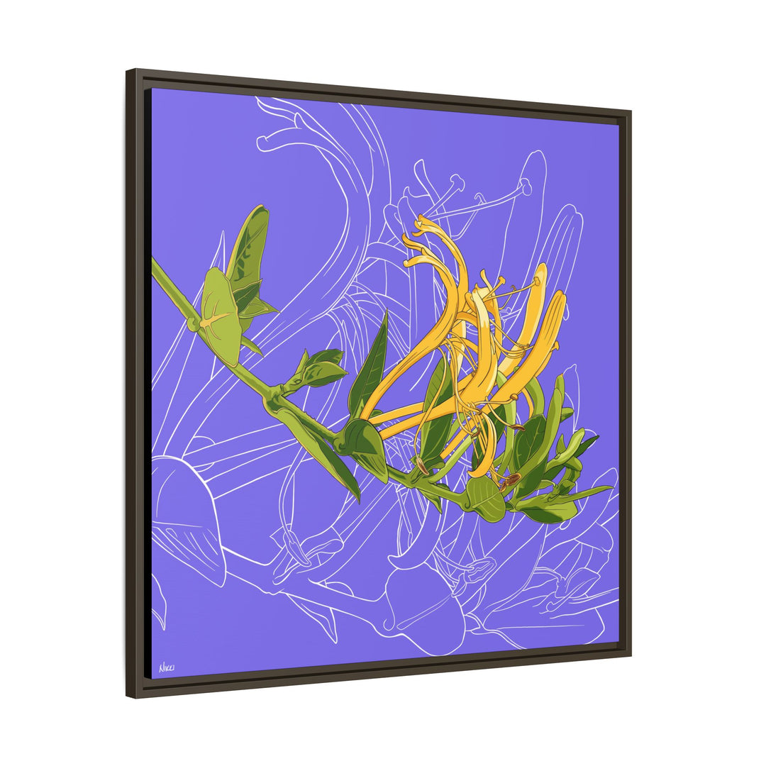 Honeysuckle: June Birth Month Flower — Framed Canvas Print Wall Art