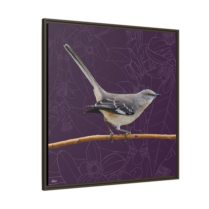 Northern Mockingbird: Florida State Bird — Framed Canvas Print Wall Art
