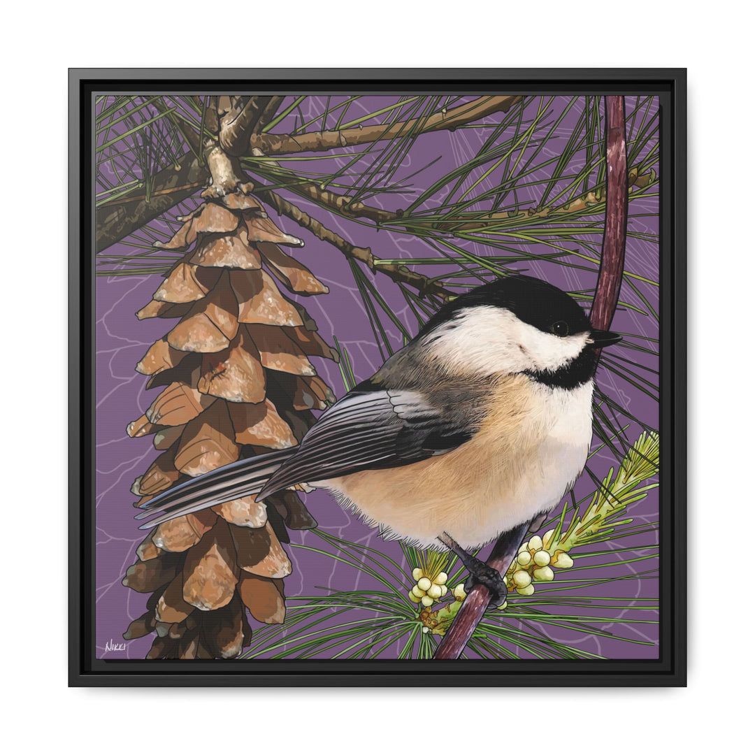 Black-capped Chickadee: Maine State Bird — Framed Canvas Print