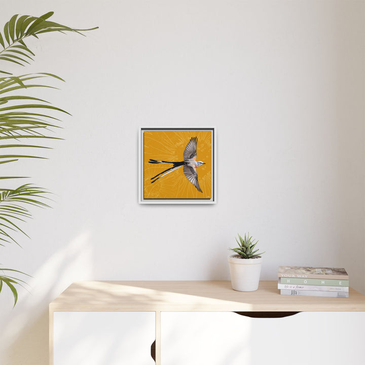 Scissor Tailed Flycatcher: Oklahoma State Bird — Framed Canvas Print Wall Art