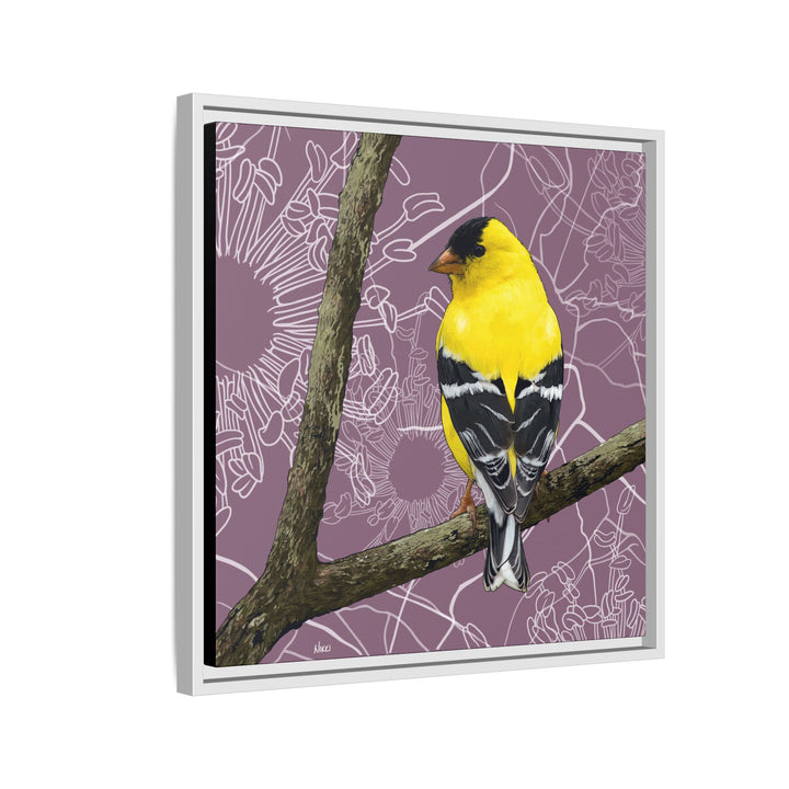 Goldfinch: Washington State Bird — Framed Canvas Print Wall Art