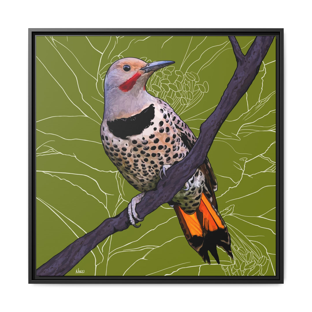 Northern Flicker (Yellowhammer): Alabama State Bird: — Framed Canvas Print Wall Art
