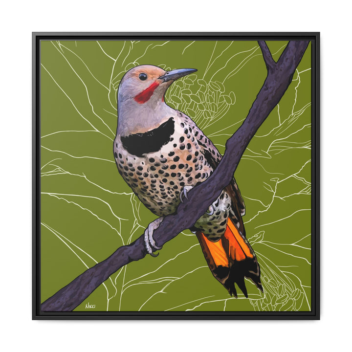 Northern Flicker (Yellowhammer): Alabama State Bird: — Framed Canvas Print Wall Art