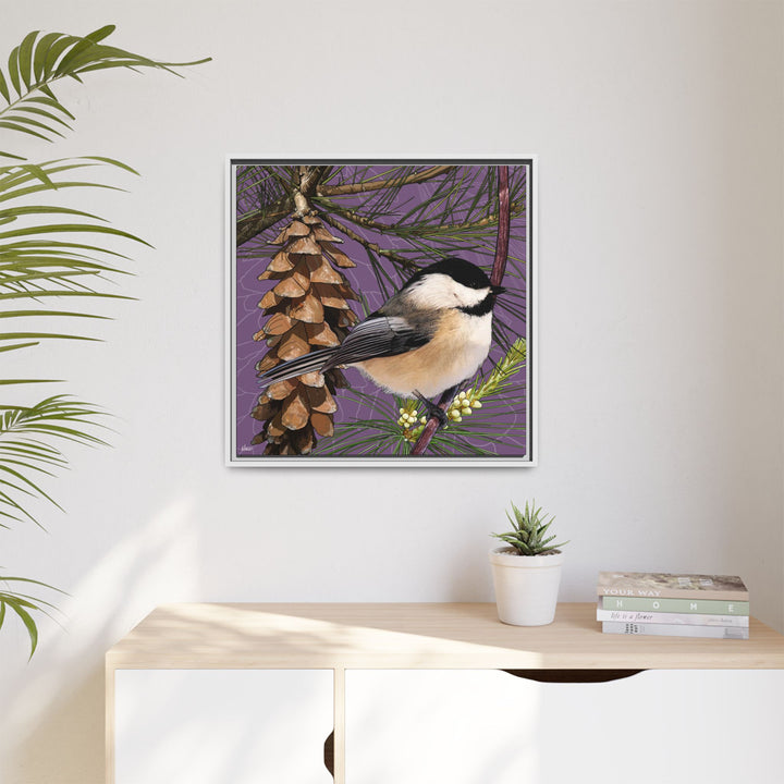 Black-capped Chickadee: Maine State Bird — Framed Canvas Print