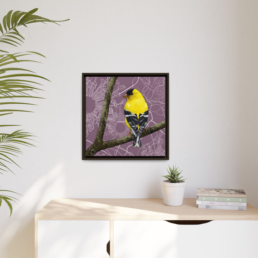 Goldfinch: Washington State Bird — Framed Canvas Print Wall Art