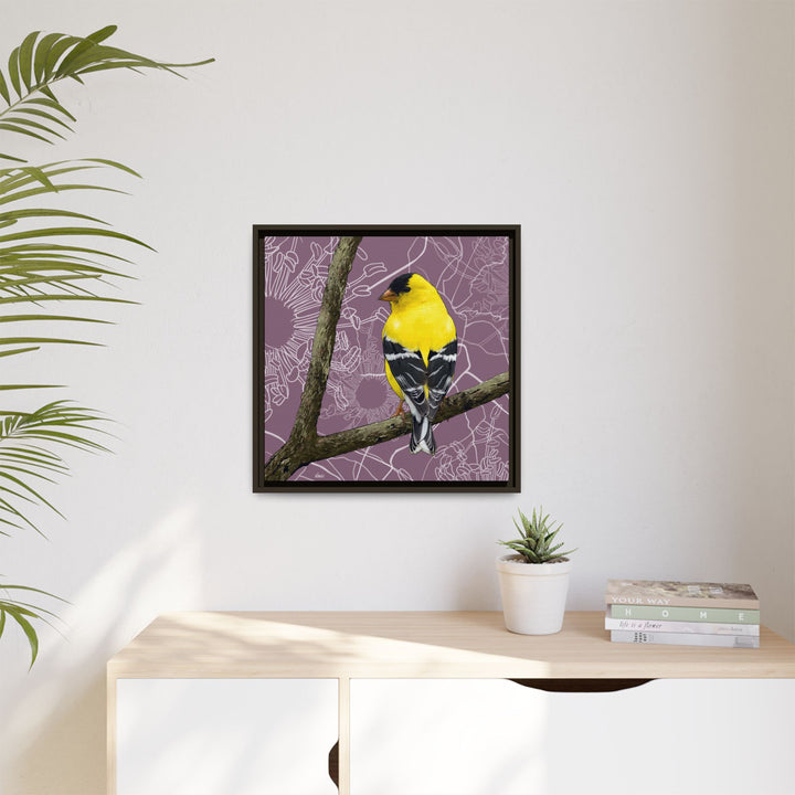 Goldfinch: Washington State Bird — Framed Canvas Print Wall Art