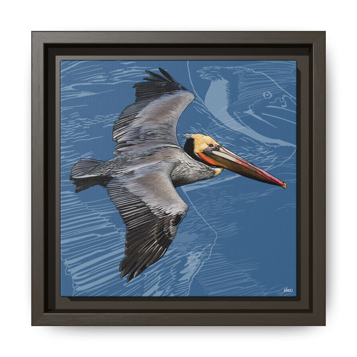 Brown Pelican: Louisiana State Bird  —  Framed Canvas Print