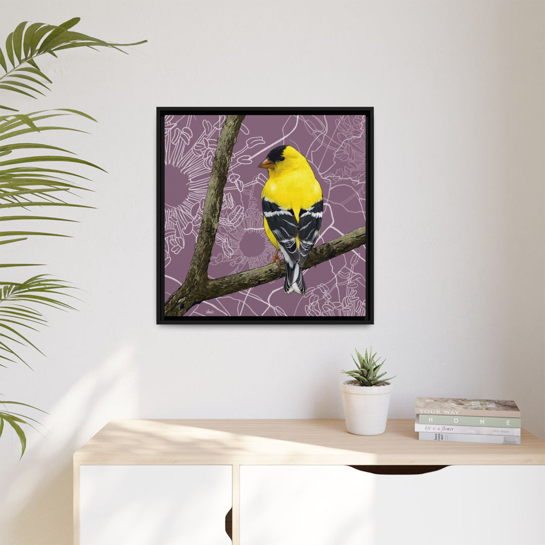 Goldfinch: Washington State Bird — Framed Canvas Print Wall Art
