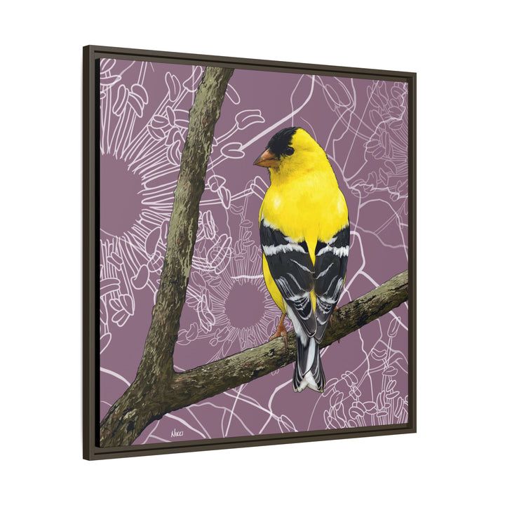 Goldfinch: Washington State Bird — Framed Canvas Print Wall Art