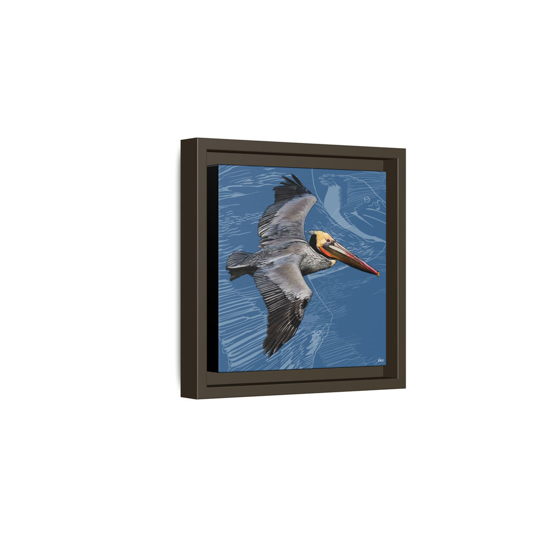 Brown Pelican: Louisiana State Bird  —  Framed Canvas Print
