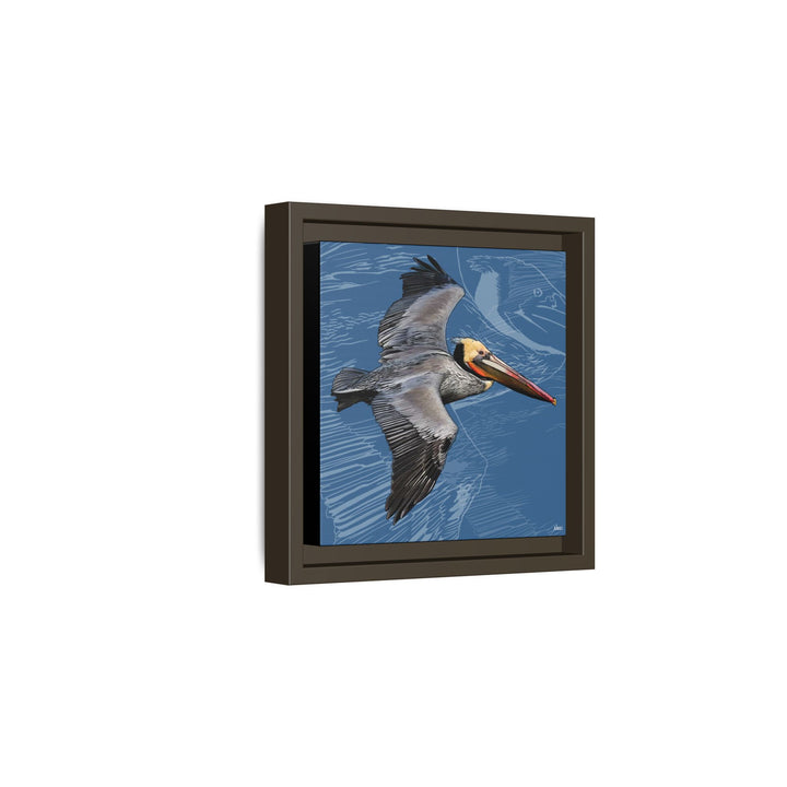 Brown Pelican: Louisiana State Bird  —  Framed Canvas Print