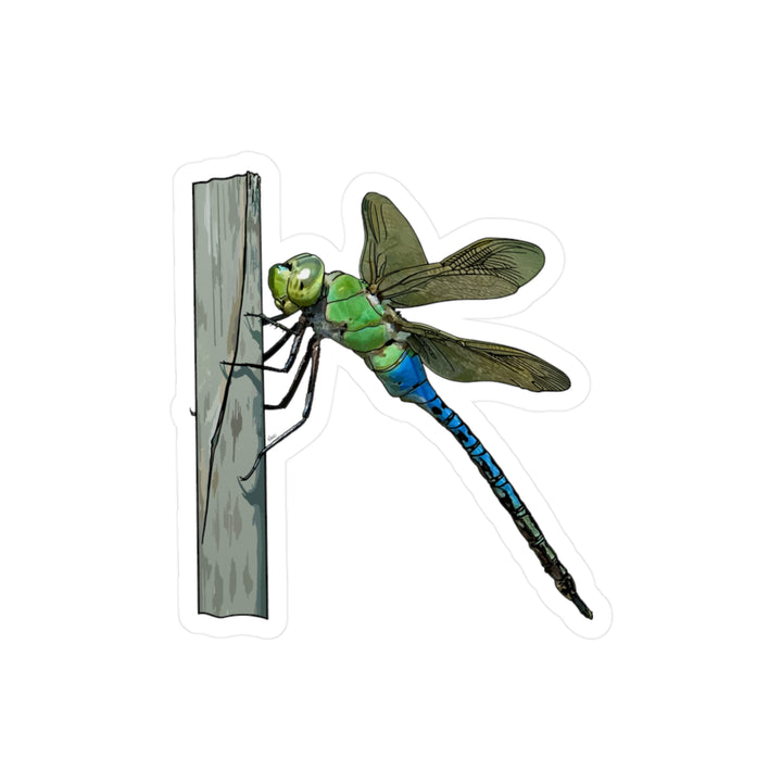 Green Darner Dragonfly Kiss-Cut Vinyl Decal — Realistic Green & Blue Insect Sticker for Laptops, Windows & Water Bottles
