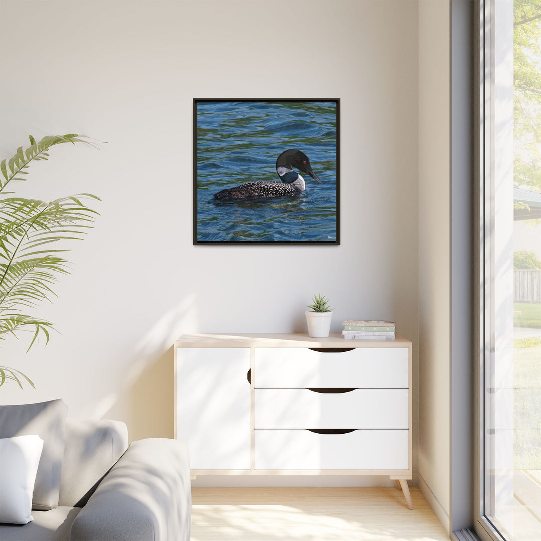 Common Loon: Minnesota State Bird — Framed Canvas Print Wall Art