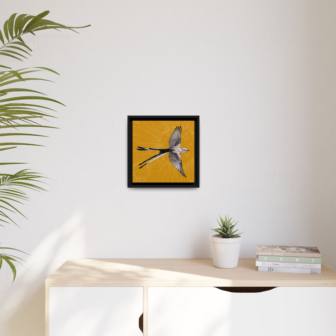 Scissor Tailed Flycatcher: Oklahoma State Bird — Framed Canvas Print Wall Art