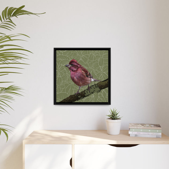 Purple Finch: New Hampshire State Bird — Framed Canvas Print Wall Art