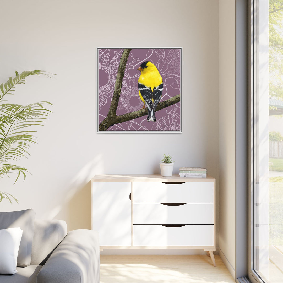 Goldfinch: Washington State Bird — Framed Canvas Print Wall Art