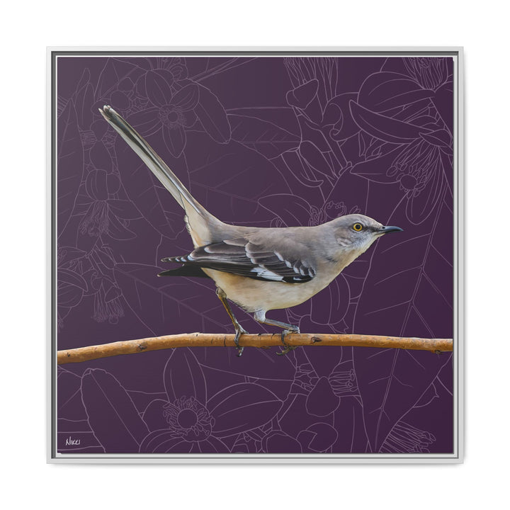 Northern Mockingbird: Florida State Bird — Framed Canvas Print Wall Art