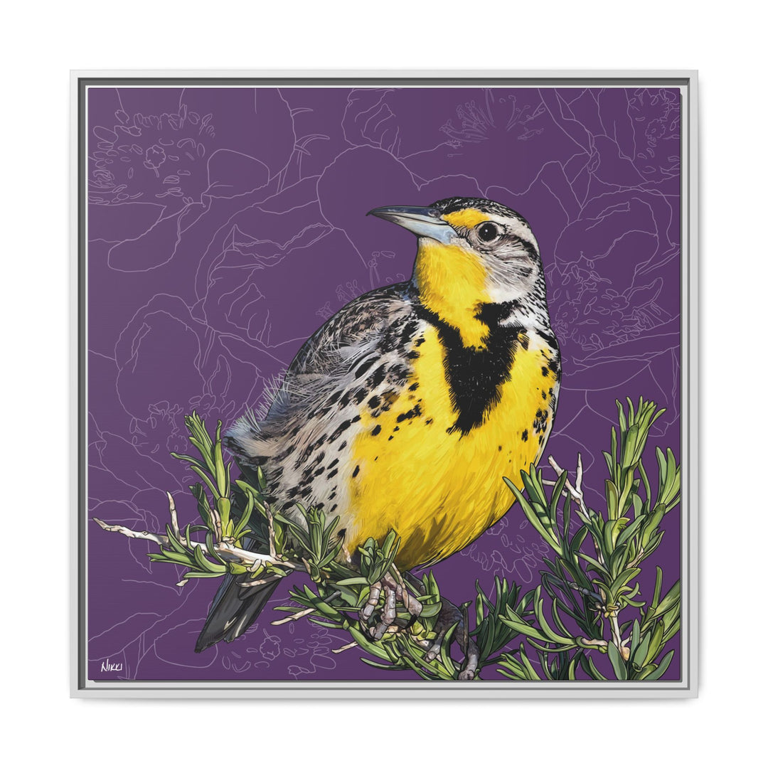 Western Meadowlark: North Dakota State Bird — Framed Canvas Print