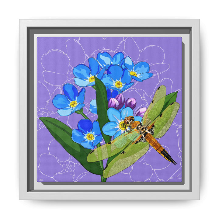 Alaska State Flower + Insect: Forget Me Not + Four-spot Skimmer Dragonfly — Framed Canvas Print Wall Art