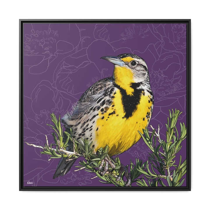 Western Meadowlark: North Dakota State Bird — Framed Canvas Print