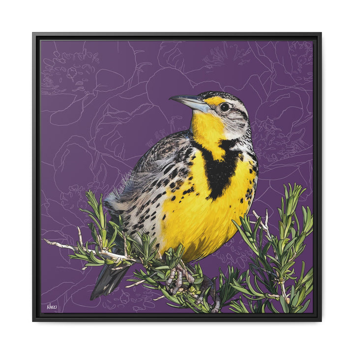 Western Meadowlark: North Dakota State Bird — Framed Canvas Print