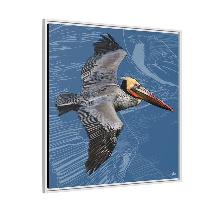 Brown Pelican: Louisiana State Bird  —  Framed Canvas Print