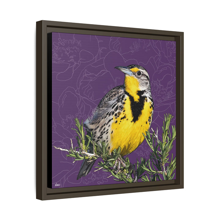 Western Meadowlark: North Dakota State Bird — Framed Canvas Print