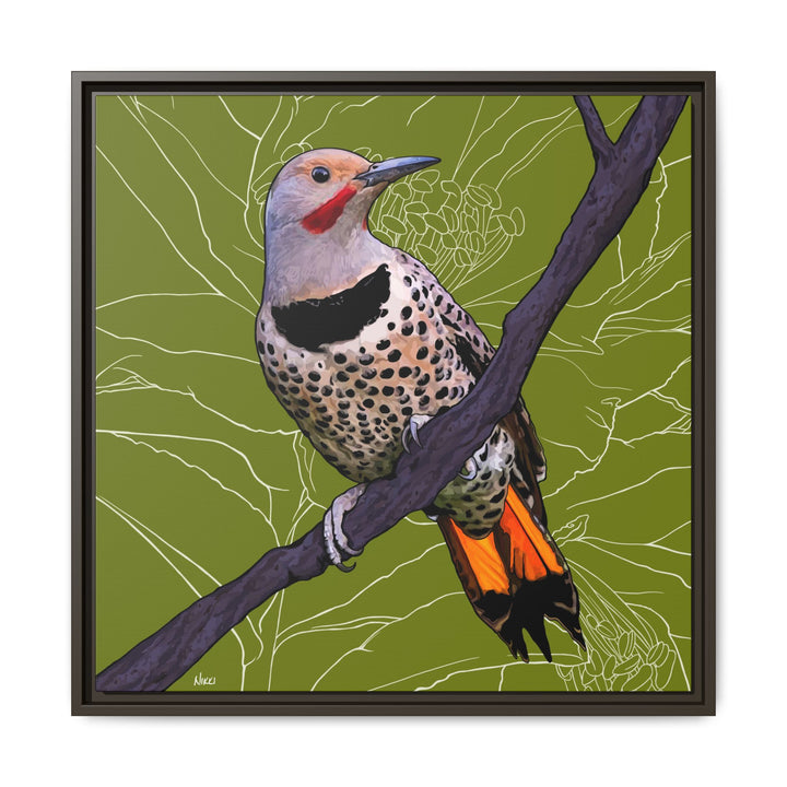 Northern Flicker (Yellowhammer): Alabama State Bird: — Framed Canvas Print Wall Art