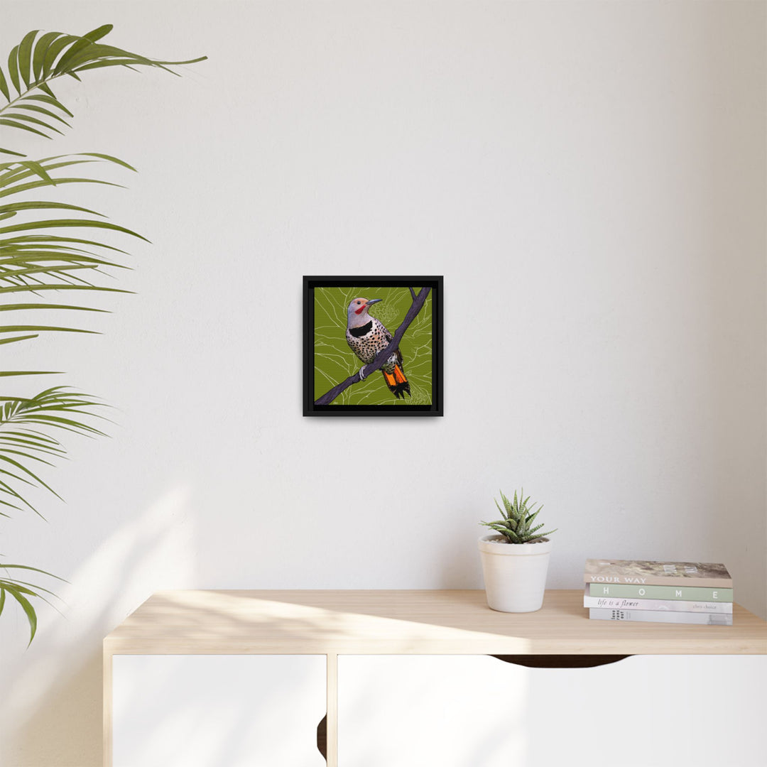 Northern Flicker (Yellowhammer): Alabama State Bird: — Framed Canvas Print Wall Art