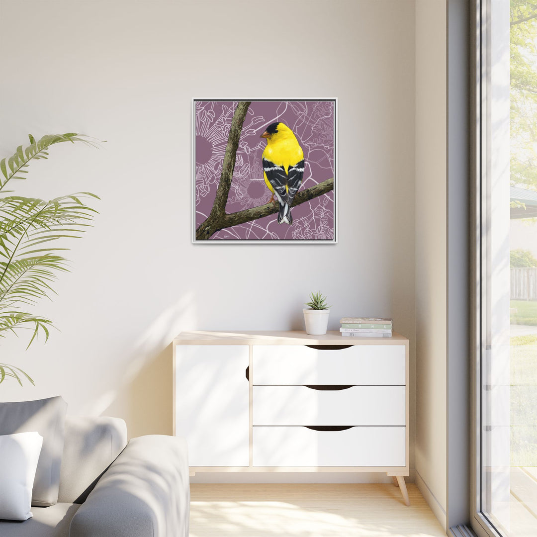 Goldfinch: Washington State Bird — Framed Canvas Print Wall Art