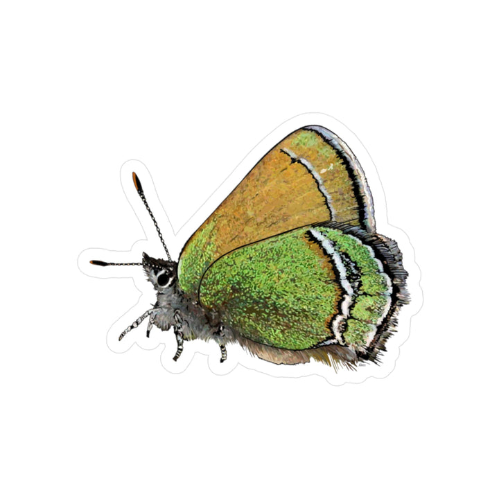 Sheridan's Green Hairstreak Butterfly Kiss-Cut Vinyl Sticker — Weatherproof Decorative Decal for Laptops, Water Bottles & Windows
