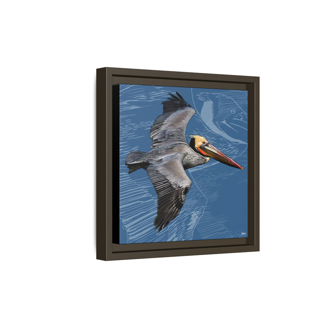 Brown Pelican: Louisiana State Bird  —  Framed Canvas Print