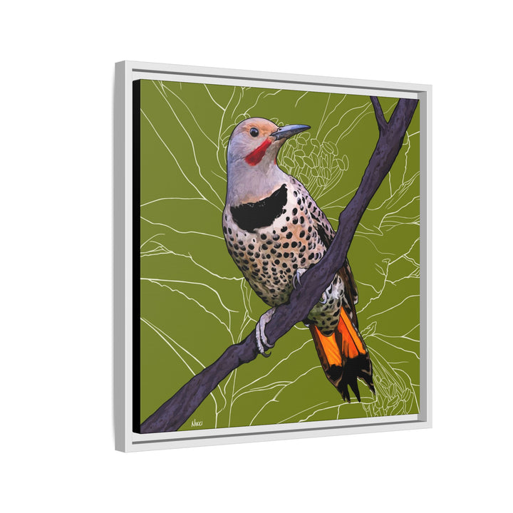 Northern Flicker (Yellowhammer): Alabama State Bird: — Framed Canvas Print Wall Art