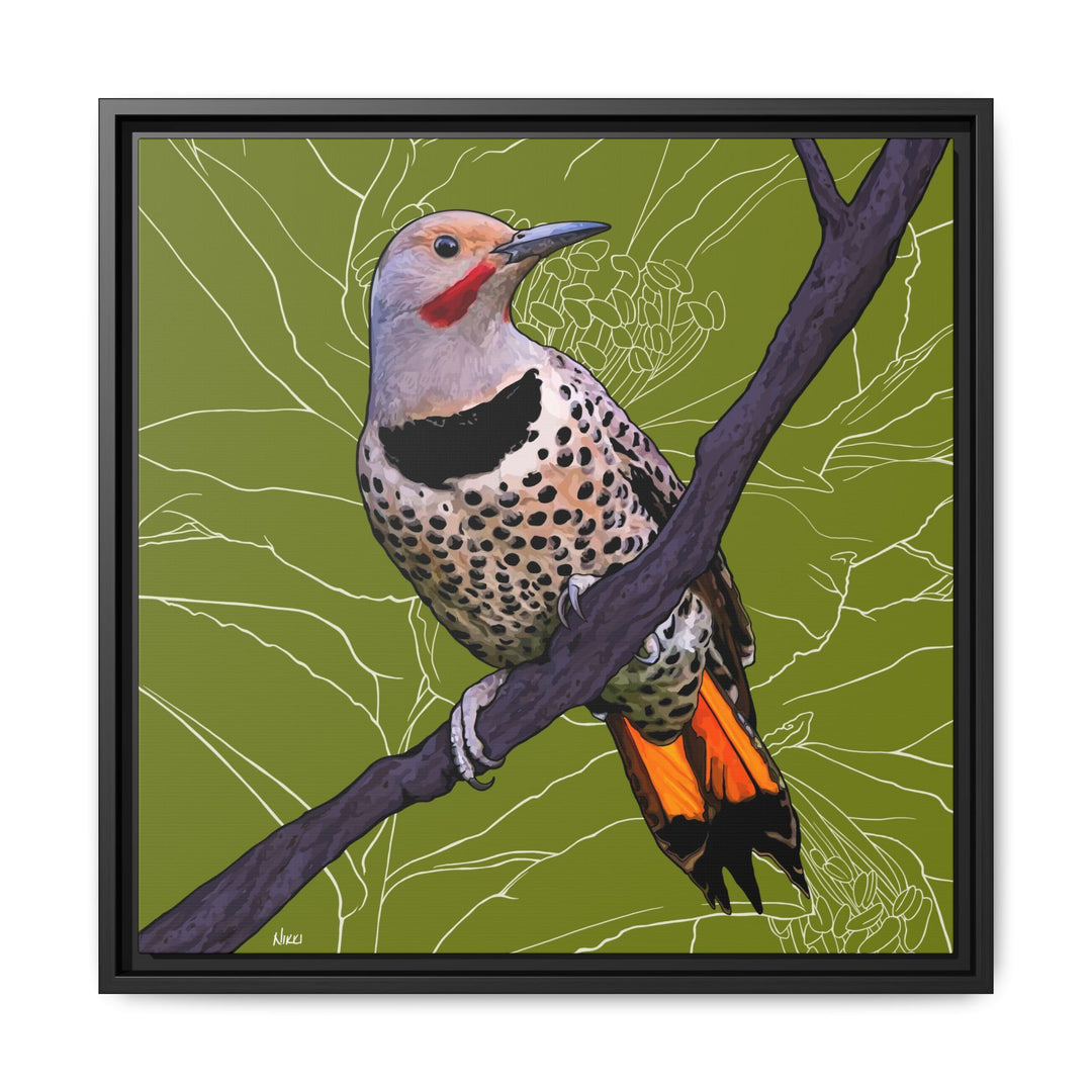 Northern Flicker (Yellowhammer): Alabama State Bird: — Framed Canvas Print Wall Art
