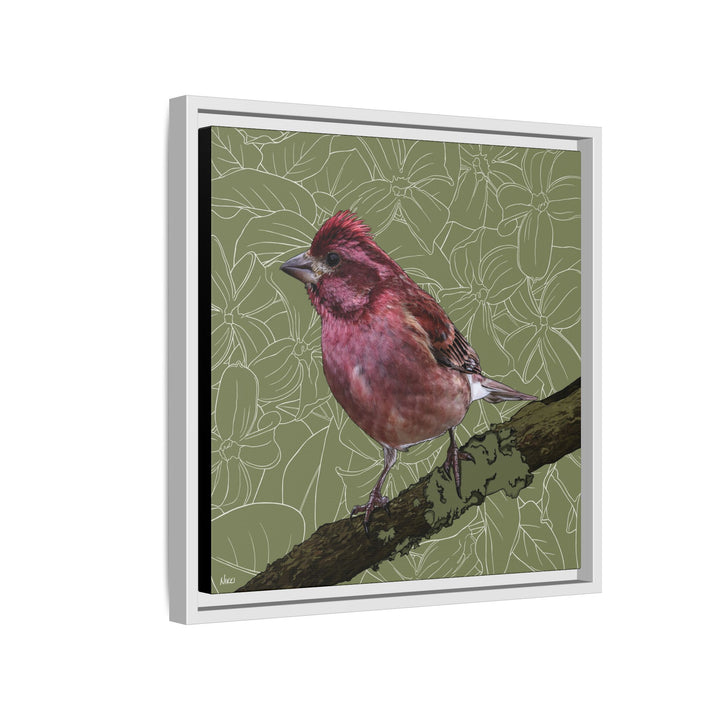 Purple Finch: New Hampshire State Bird — Framed Canvas Print Wall Art